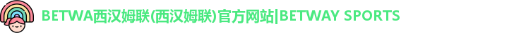 bw必威西汉姆联官网